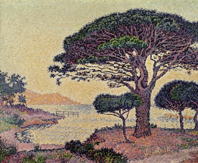 Pini ombrello a Caroubiers, 1898 da Paul Signac